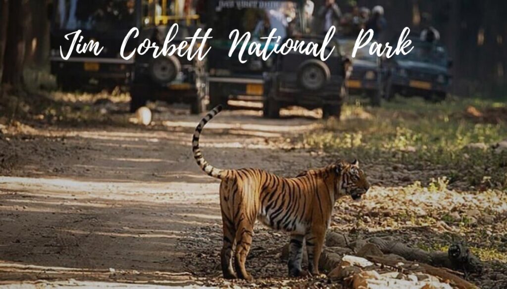Jim Corbett National Park Jim Corbett National Park